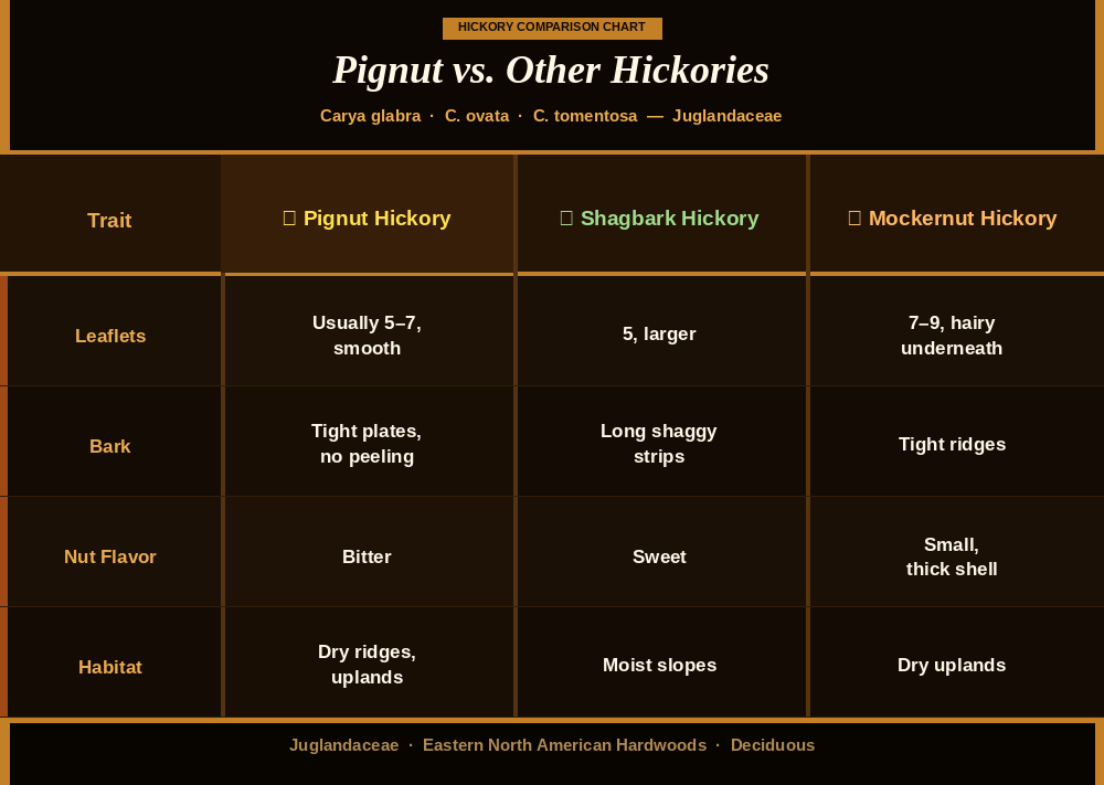 Why Pignut Hickory Is Stronger Than You Think 4 hickory comparison 1