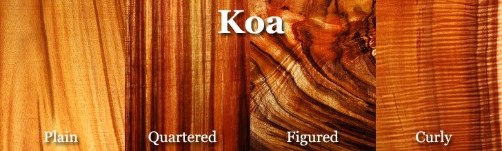 Koa Wood Explained: What Makes It So Special 2 koa wood title 2
