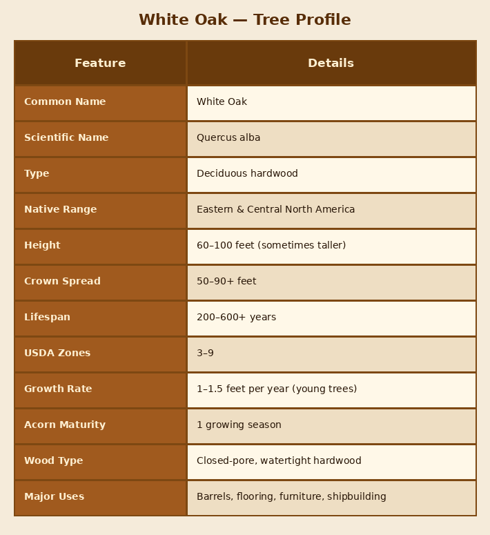 White Oak Tree: America’s Strongest Hardwood 2 White Oak Wood