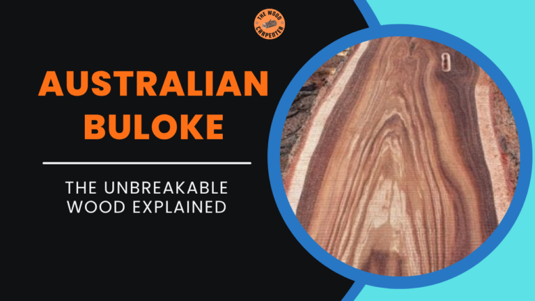 Australian Buloke: The Hardest Wood You’ll Ever See! 1 Australian Buloke