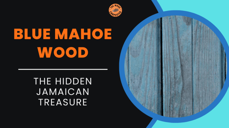 Blue Mahoe Wood: The Hidden Jamaican Treasure 3 Blue Mahoe Wood: The Hidden Jamaican Treasure