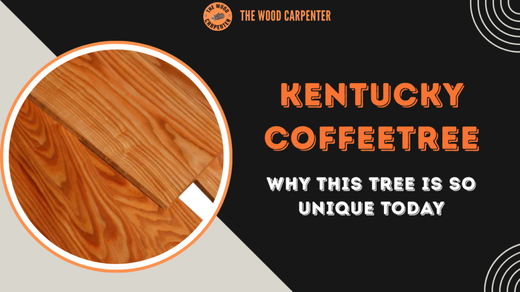 Kentucky Coffeetree: Uses, Hardness, Why It's Hard to Find 1 Kentucky Coffeetree
