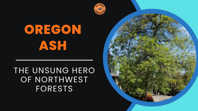 Oregon Ash Explained: The Unsung Hero of Northwest Forests 2 Oregon Ash Explained: The Unsung Hero of Northwest Forests