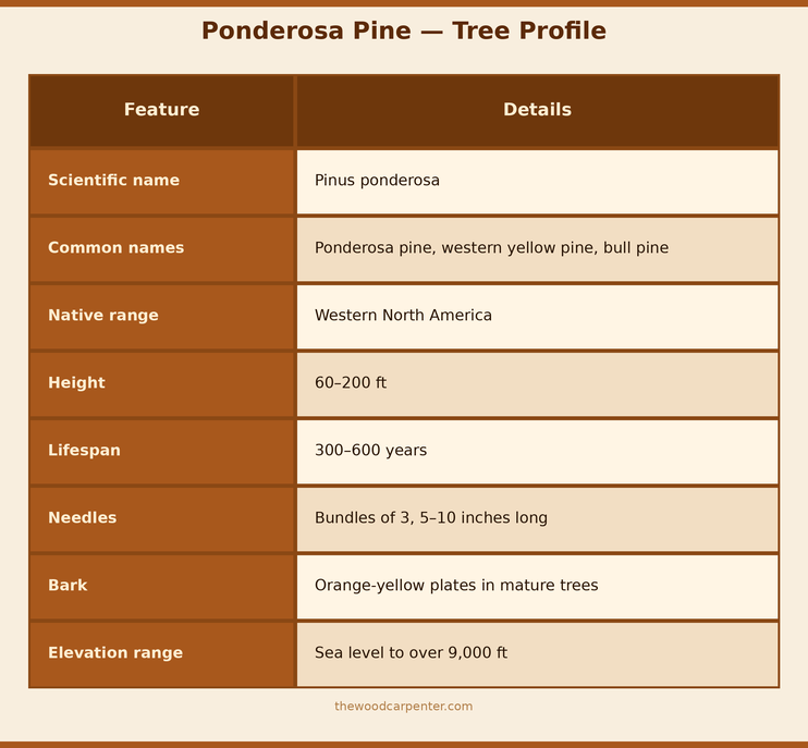Ponderosa Pine Secrets: This Tree Smells Like Vanilla? 2 Ponderosa Pine