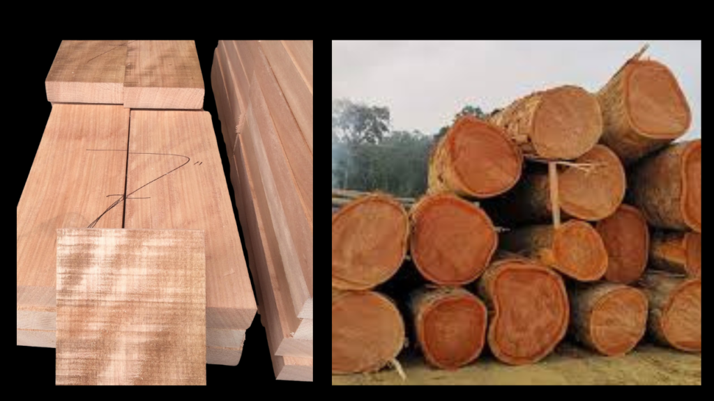 Okoume Wood: Uses, Pros, Cons & Why Woodworkers Love It 3 1 1