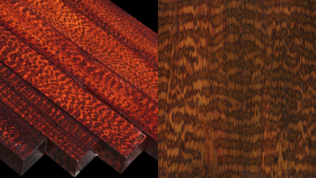 Snakewood: Why This Rare Wood Costs So Much 2 1