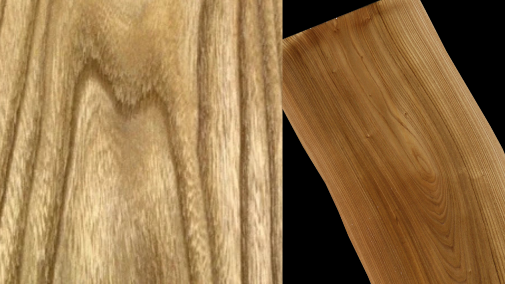 Catalpa Wood: Pros, Uses, Properties & Working Tips 2 Catalpa Wood