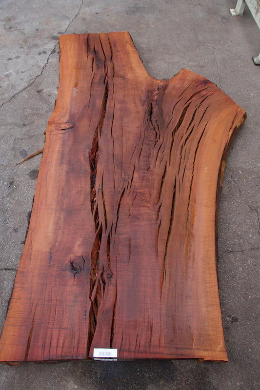 Madrone Wood Secrets: The Hardwood No One Talks About 2 143078 2copy