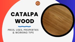 Catalpa Wood: Pros, Uses, Properties & Working Tips 9 Catalpa Wood
