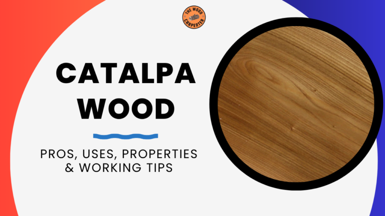 Catalpa Wood: Pros, Uses, Properties & Working Tips 2 Catalpa Wood
