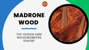 Madrone Wood Secrets: The Hardwood No One Talks About 7 Madrone Wood