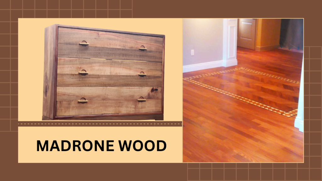 Madrone Wood Secrets: The Hardwood No One Talks About 3 Madrone wood