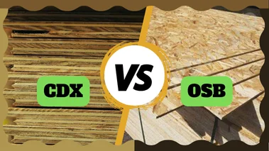 CDX VS OSB