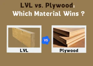 LVL vs. Plywood