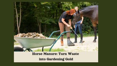 Horse Manure: Turn Waste into Gardening Gold